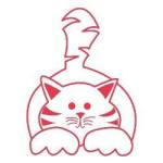 12109159_1039806879393320_7664685521538003416_n