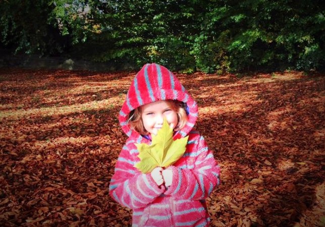 14656403_1132823370147996_5742674865386427719_n