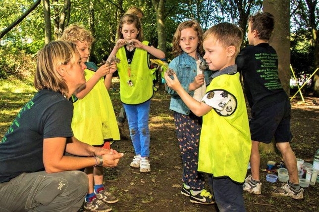 14956033_1278418825548947_6409631320444658257_n